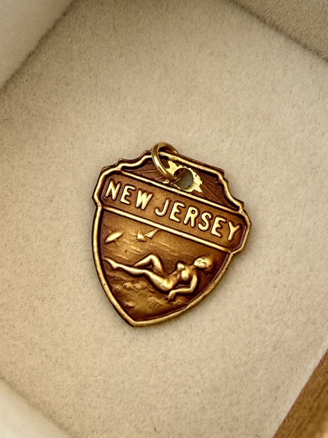 No. 056: New Jersey Souvenir Shield — product photo